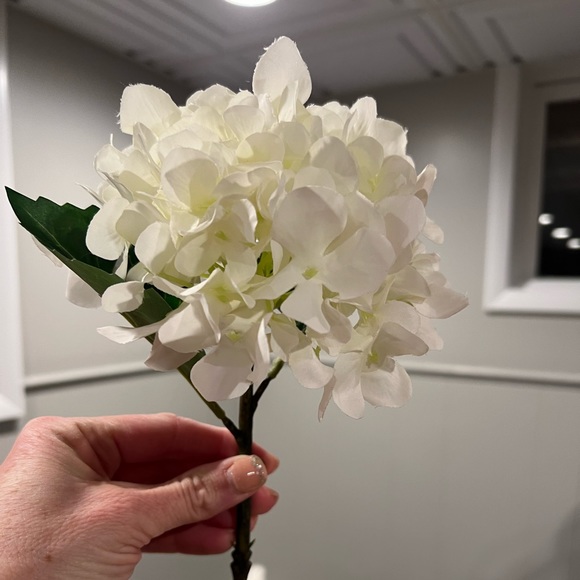 White Hydrangeas and Roses - Picture 2 of 3